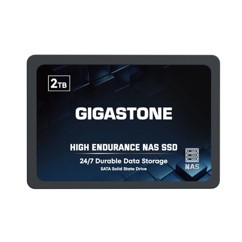 Gigastone NAS SSD 2TB SSD Festplatte TLC Hohe Dauerhaltbarkeit SSD für 24/7 Dauerbetrieb NAS-Systeme RAID 2,5 Zoll SATA III Internes Festkörper-Laufwerk NAS Caching