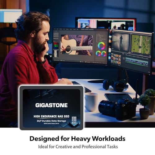 Gigastone NAS SSD 2TB SSD Festplatte TLC Hohe Dauerhaltbarkeit SSD für 24/7 Dauerbetrieb NAS-Systeme RAID 2,5 Zoll SATA III Internes Festkörper-Laufwerk NAS Caching - 4